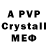 Ecstasy Philipp Plein pamela ivy