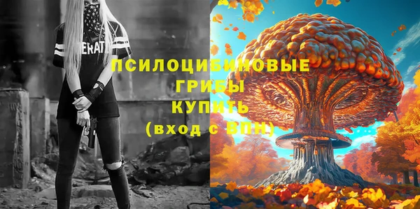 шишки Балабаново