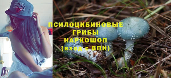 шишки Балабаново