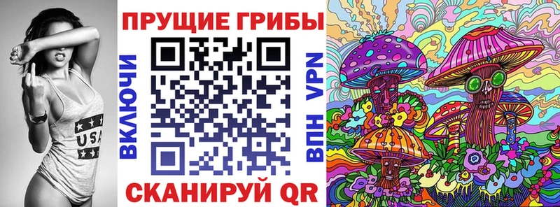 цена   OMG вход  Псилоцибиновые грибы GOLDEN TEACHER  Балахна 
